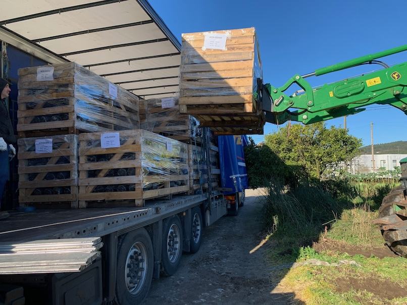 Packing — ACSS Plant Growers